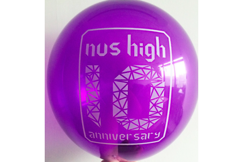 Balloon Printing Services Type 12 (Contact us for more details)